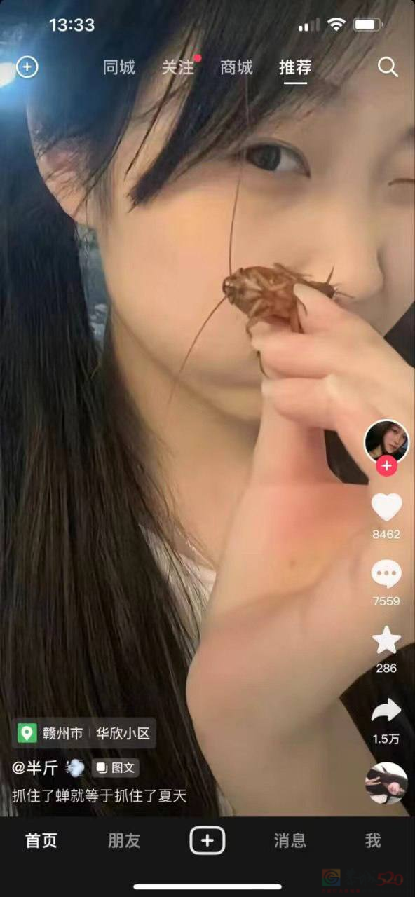 抓住了蝉就等于抓住了夏天505 / 作者:闲不住a / 帖子ID:308443