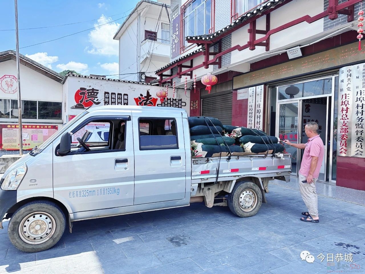 恭城镇：百亩冬瓜满田地  产业发展有盼头39 / 作者:论坛小编01 / 帖子ID:308509