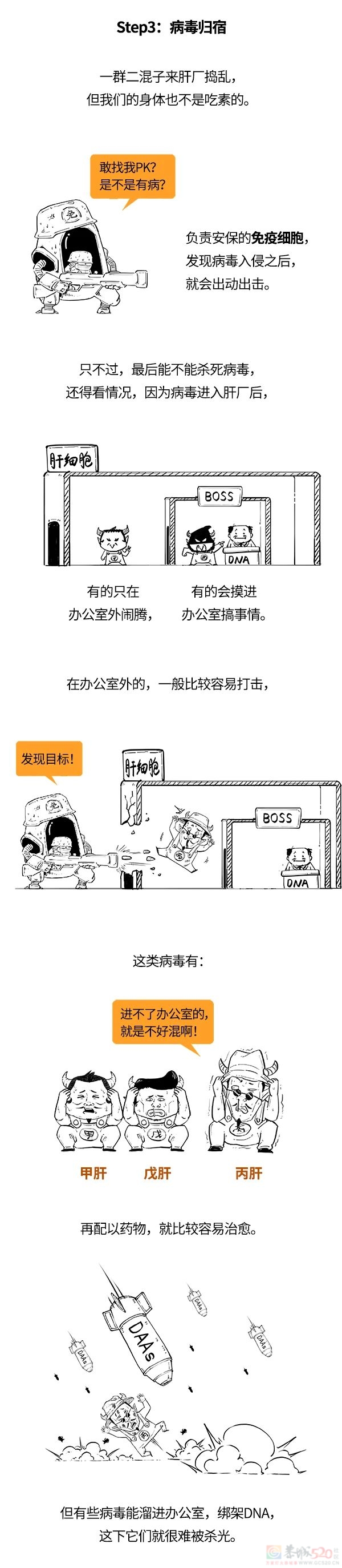 5种伤肝的病毒，谁更猛？958 / 作者:儿时的回忆 / 帖子ID:308875