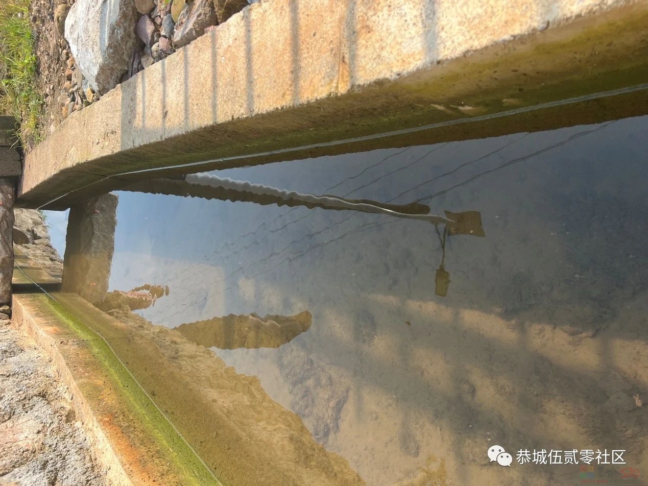 关于西岭镇下宋村水家屯污水处理项目污水渗漏的情况说明988 / 作者:论坛小编01 / 帖子ID:309178