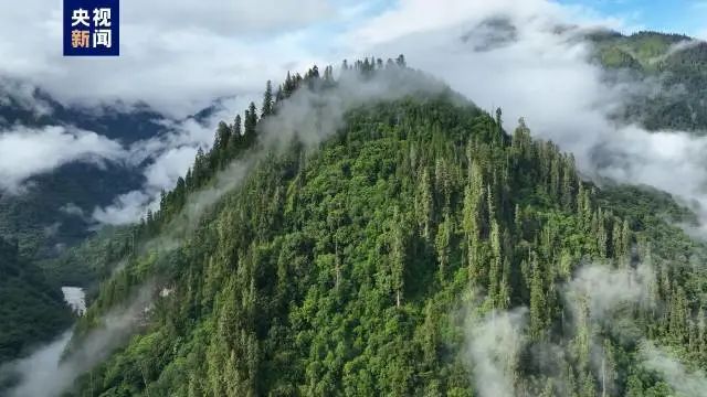 巨！照片公布了79 / 作者:登山涉水 / 帖子ID:309354