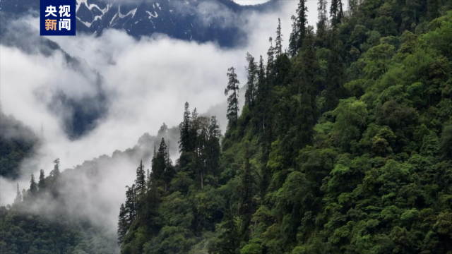 巨！照片公布了805 / 作者:登山涉水 / 帖子ID:309354