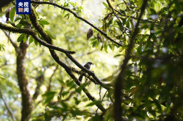 巨！照片公布了958 / 作者:登山涉水 / 帖子ID:309354