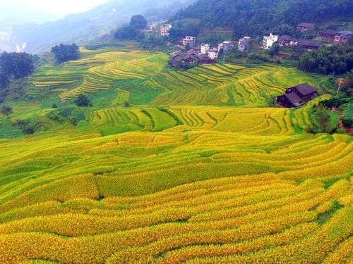关 于 白 露 的 24 句 话！708 / 作者:登山涉水 / 帖子ID:310068