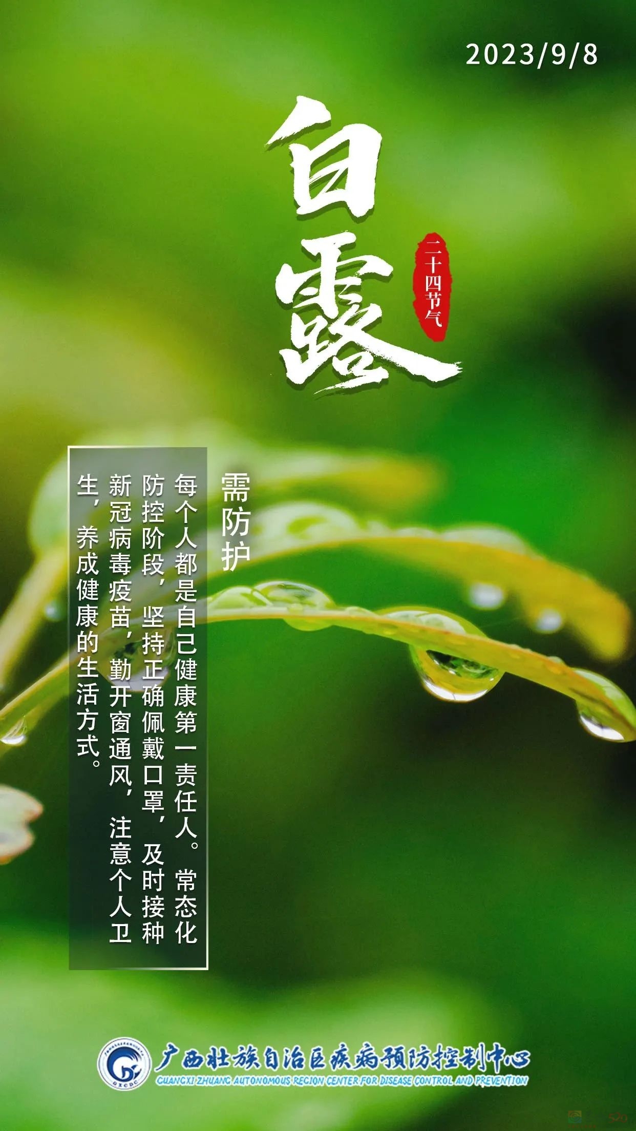 今日白露 | 秋高气爽，玉露生凉371 / 作者:健康小天使 / 帖子ID:310078