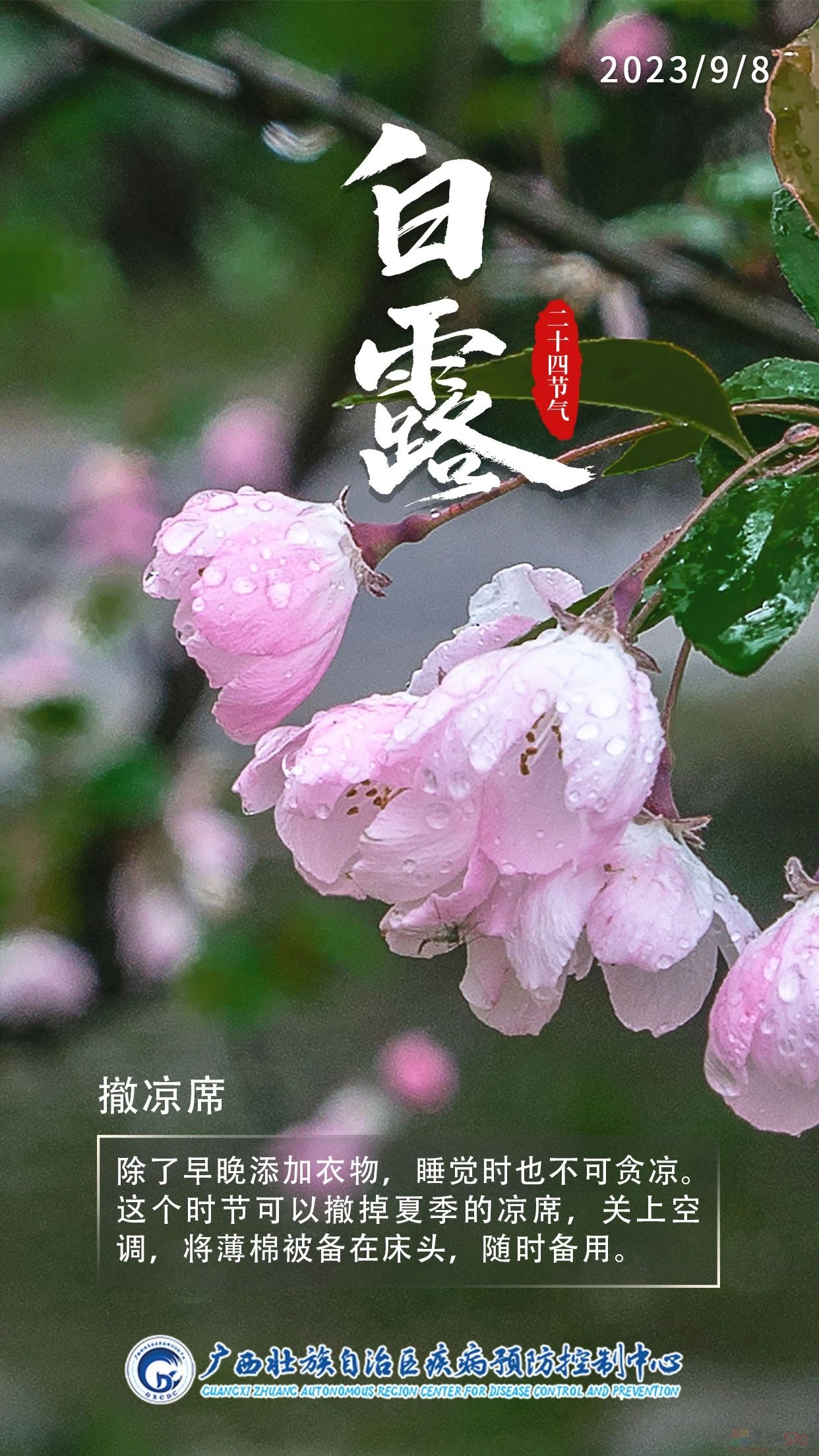 今日白露 | 秋高气爽，玉露生凉458 / 作者:健康小天使 / 帖子ID:310078