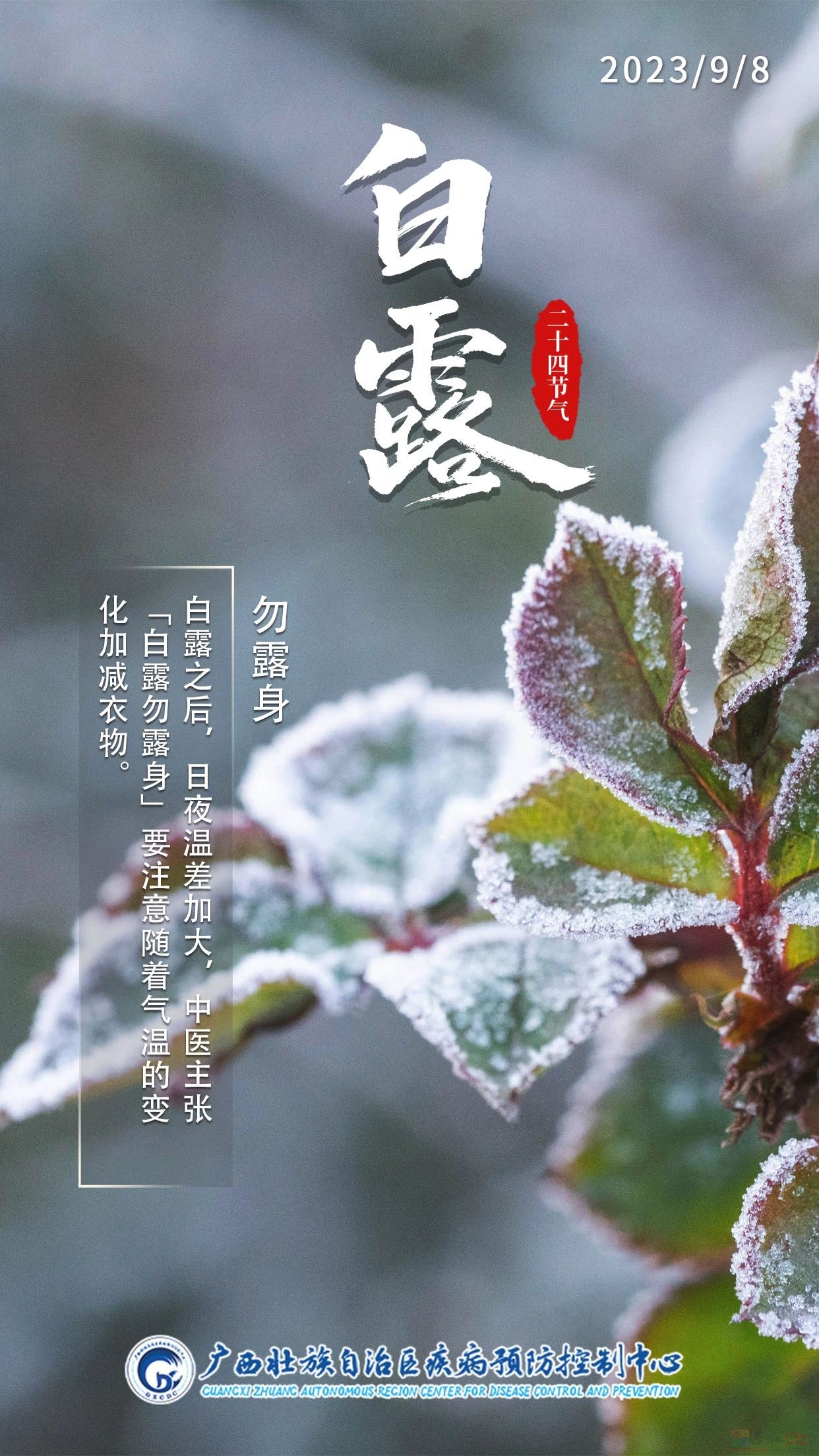 今日白露 | 秋高气爽，玉露生凉997 / 作者:健康小天使 / 帖子ID:310078