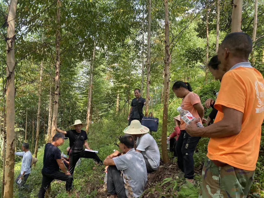 恭城法院：山林土地起纠纷 倾心调解化隔阂265 / 作者:论坛小编01 / 帖子ID:310288
