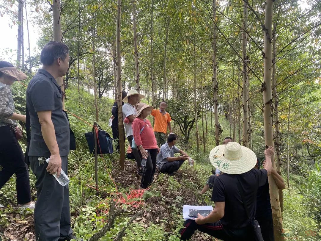 恭城法院：山林土地起纠纷 倾心调解化隔阂319 / 作者:论坛小编01 / 帖子ID:310288