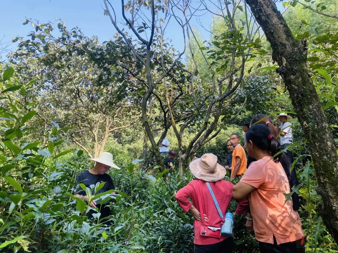 恭城法院：山林土地起纠纷 倾心调解化隔阂706 / 作者:论坛小编01 / 帖子ID:310288