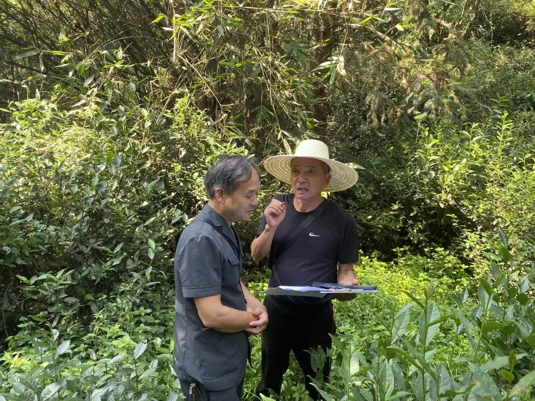 恭城法院：山林土地起纠纷 倾心调解化隔阂529 / 作者:论坛小编01 / 帖子ID:310288