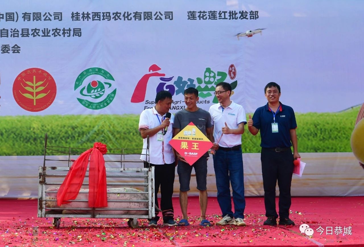我县举办庆祝中国农民丰收节恭城月柿“果王”争霸赛！531 / 作者:论坛小编01 / 帖子ID:310951