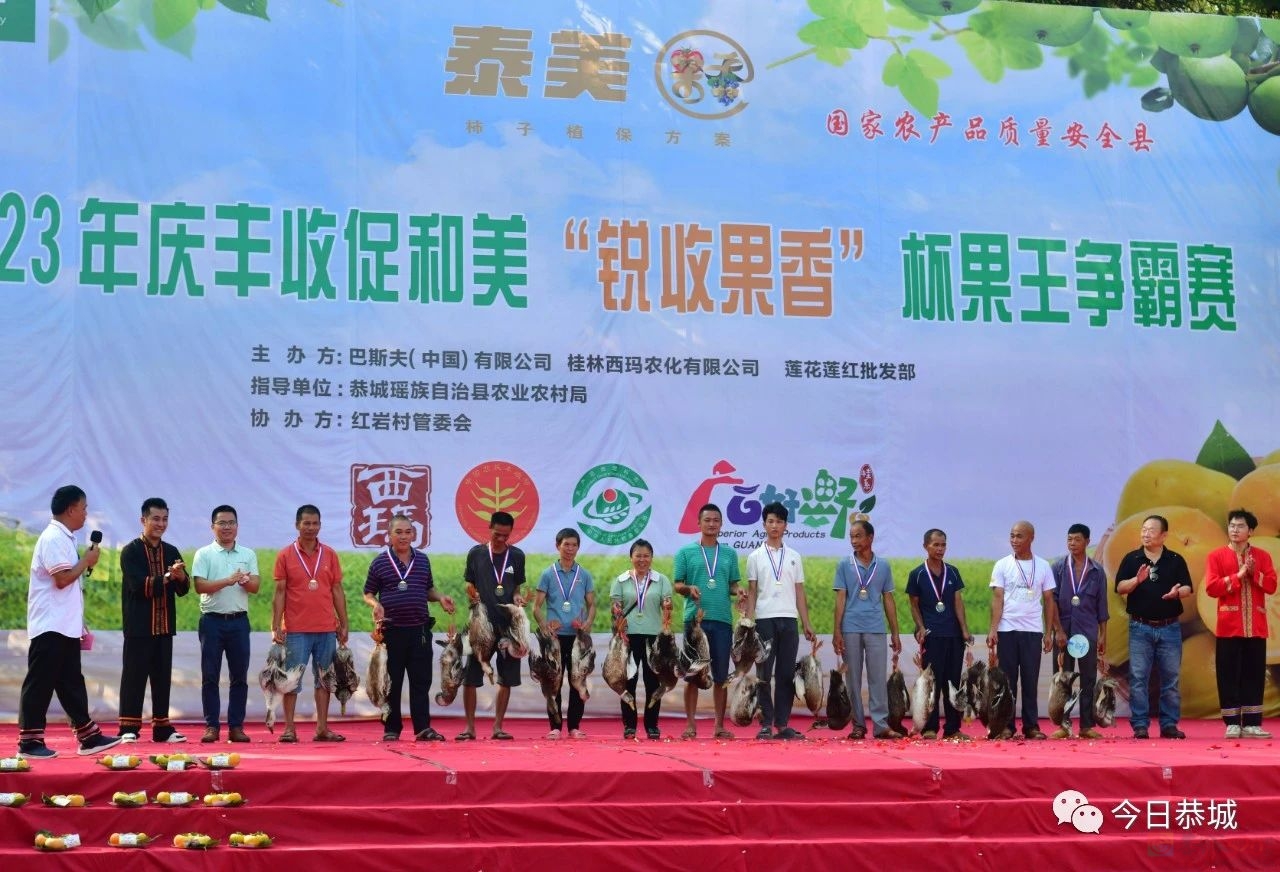我县举办庆祝中国农民丰收节恭城月柿“果王”争霸赛！518 / 作者:论坛小编01 / 帖子ID:310951