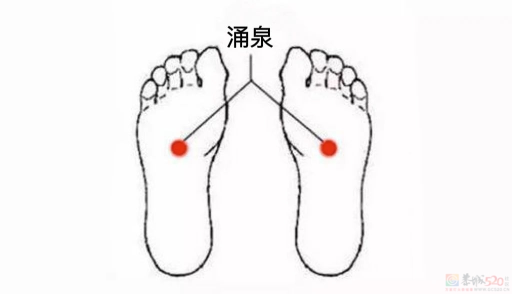 一年中最「燥」的季节，看脸就知道你“上火”了758 / 作者:健康小天使 / 帖子ID:311014