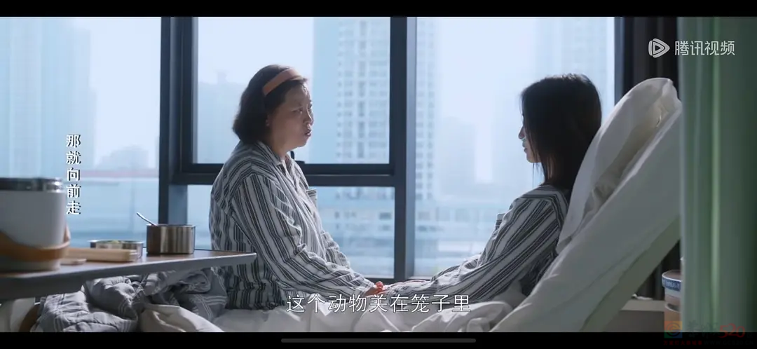 央视又放大招，今年最好哭的国产剧来了826 / 作者:该做的事情 / 帖子ID:311901