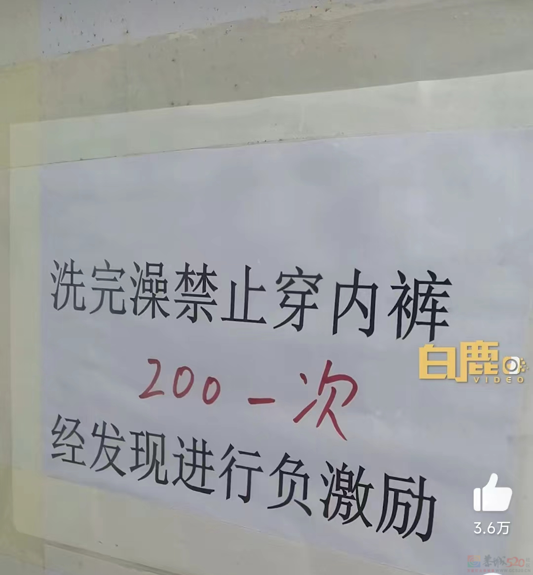 为什么在养猪场不能穿自己的内裤？238 / 作者:儿时的回忆 / 帖子ID:312583