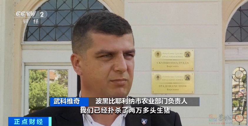 为什么在养猪场不能穿自己的内裤？413 / 作者:儿时的回忆 / 帖子ID:312583