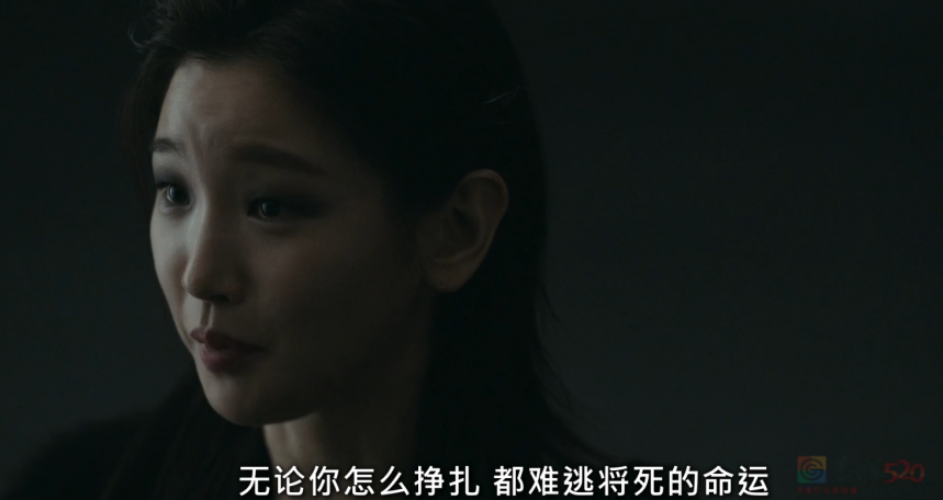 年末最炸新剧来了，一集就看得人肾上腺素飙升692 / 作者:该做的事情 / 帖子ID:312689