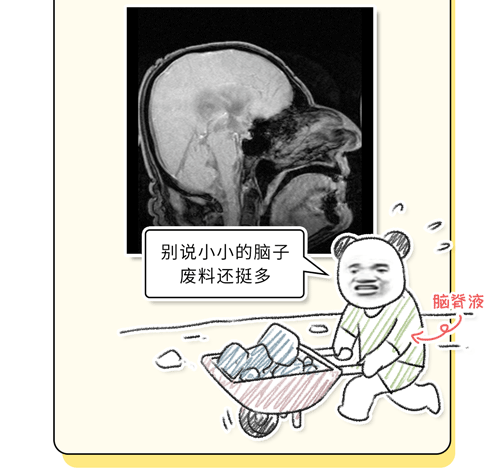 晚上睡不着 VS 主动熬夜，哪个伤害更大？473 / 作者:儿时的回忆 / 帖子ID:312809