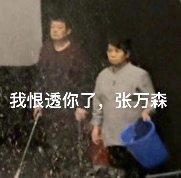 女顶流单挑这大爆CP，两边观众一个比一个“癫”496 / 作者:儿时的回忆 / 帖子ID:312903