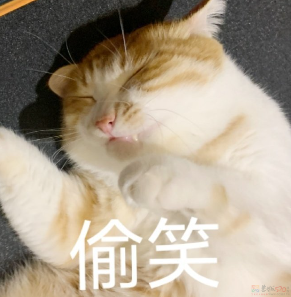 哈尔滨人为了不吓坏南方游客，已经全城“夹子音”了268 / 作者:儿时的回忆 / 帖子ID:312922