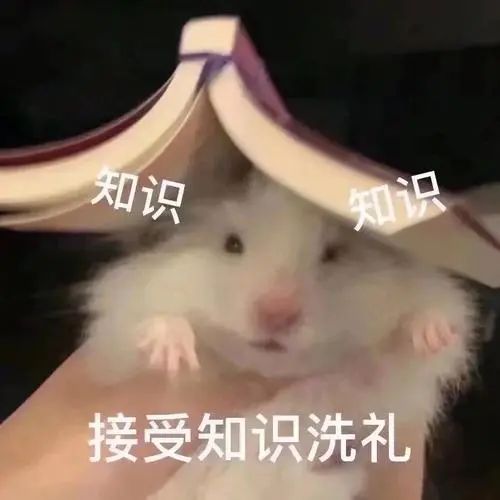 热水泡冷饭，这一碗《繁花》同款美食真不建议你经常吃！97 / 作者:健康小天使 / 帖子ID:312989