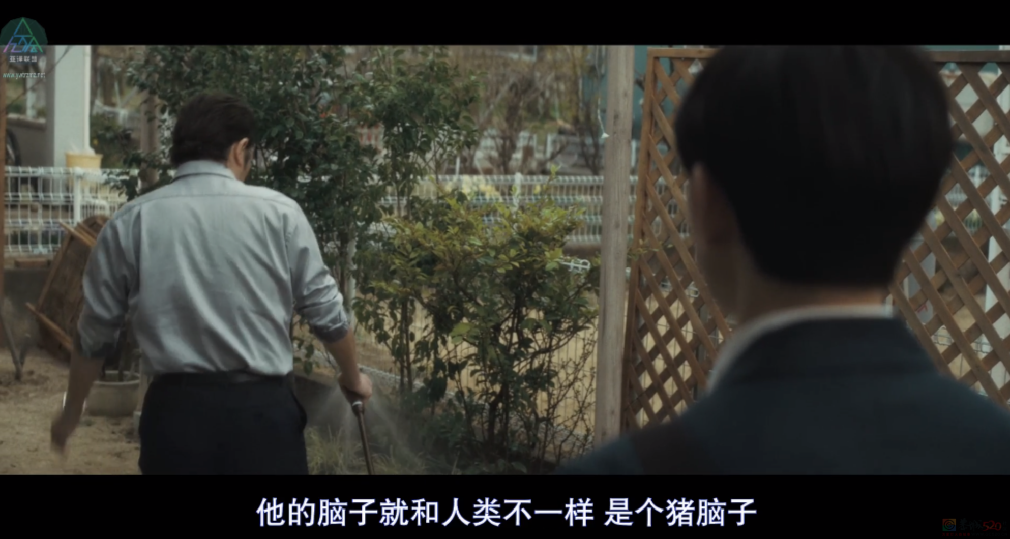 逆天阵容，口碑第一，本周最强新片来了202 / 作者:该做的事情 / 帖子ID:313182