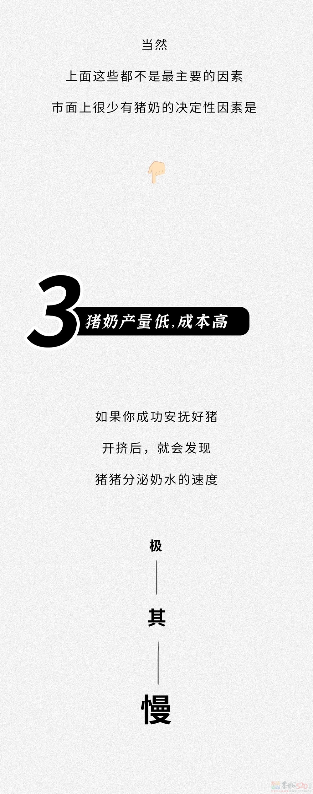为什么没人喝猪奶？沙雕又羞耻的知识增加了！359 / 作者:儿时的回忆 / 帖子ID:313214