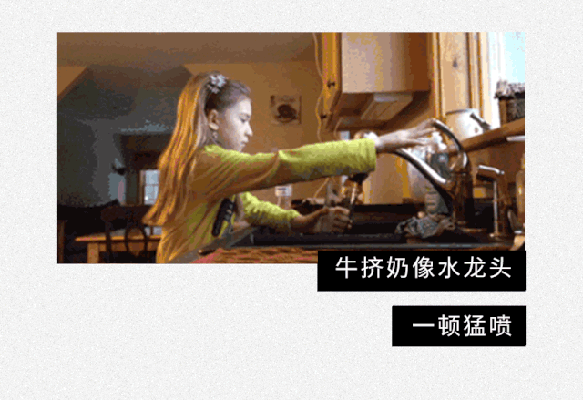 为什么没人喝猪奶？沙雕又羞耻的知识增加了！449 / 作者:儿时的回忆 / 帖子ID:313214