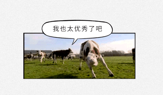 为什么没人喝猪奶？沙雕又羞耻的知识增加了！63 / 作者:儿时的回忆 / 帖子ID:313214