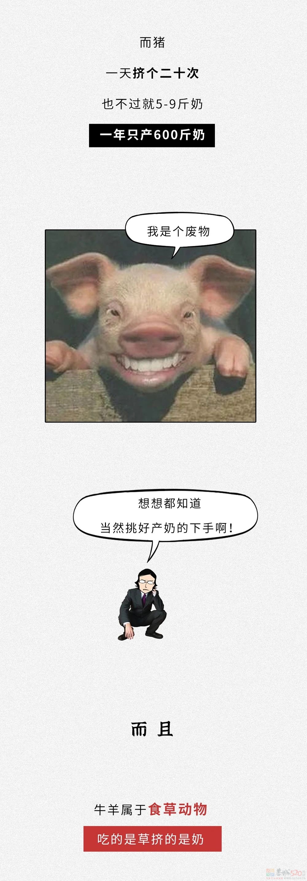 为什么没人喝猪奶？沙雕又羞耻的知识增加了！369 / 作者:儿时的回忆 / 帖子ID:313214