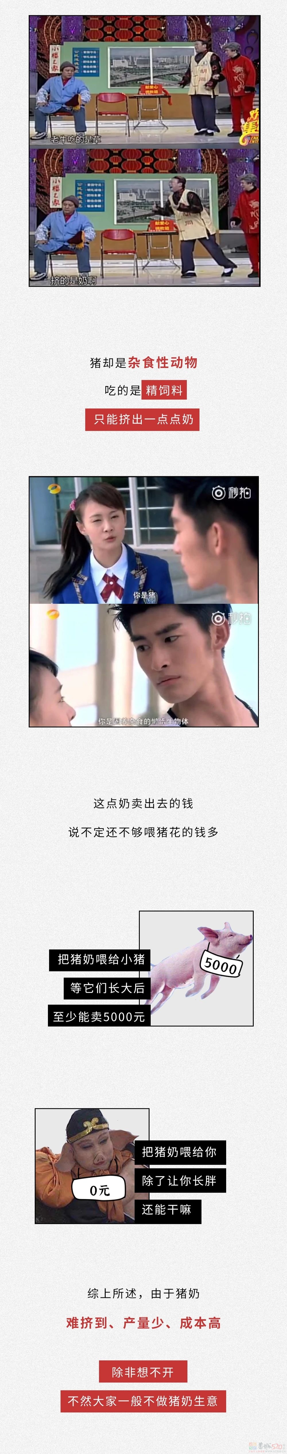 为什么没人喝猪奶？沙雕又羞耻的知识增加了！874 / 作者:儿时的回忆 / 帖子ID:313214
