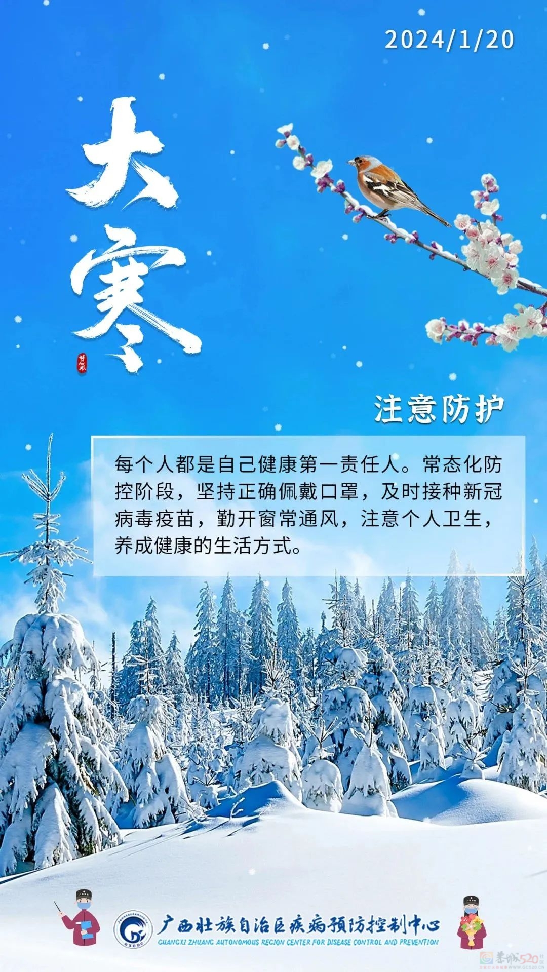 今日大寒 | 冬将尽，春将始535 / 作者:健康小天使 / 帖子ID:313223