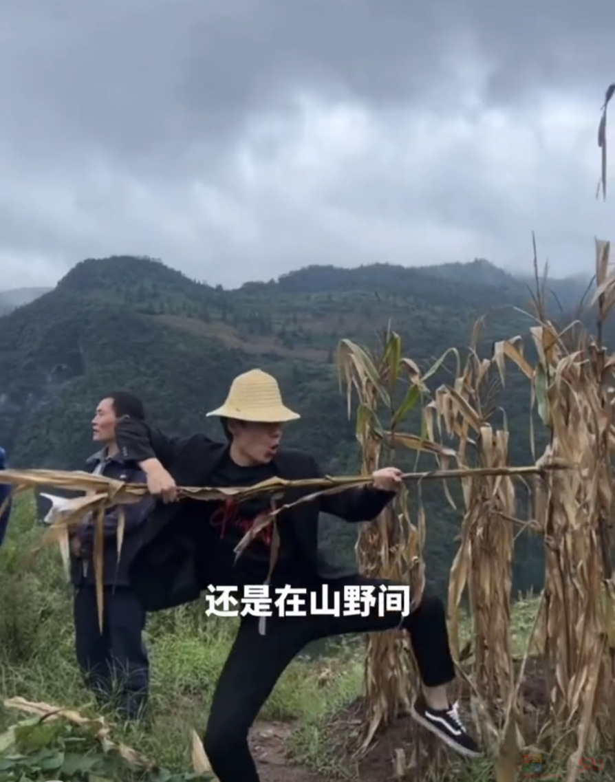 科目三登上晚会被全网骂，大家怎么就如此痛恨它？438 / 作者:儿时的回忆 / 帖子ID:313284