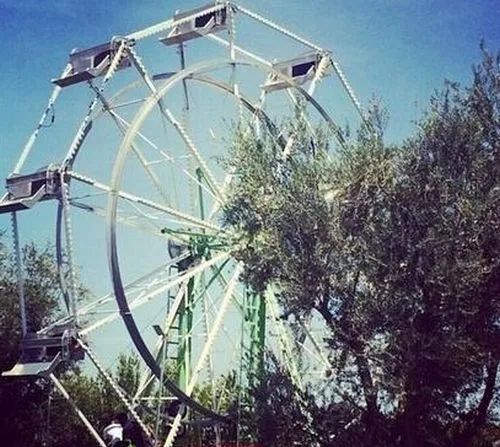 卡戴珊花10亿养的女儿被夸“世界最美”，看到照片我沉默了...138 / 作者:放眼看世界 / 帖子ID:313379