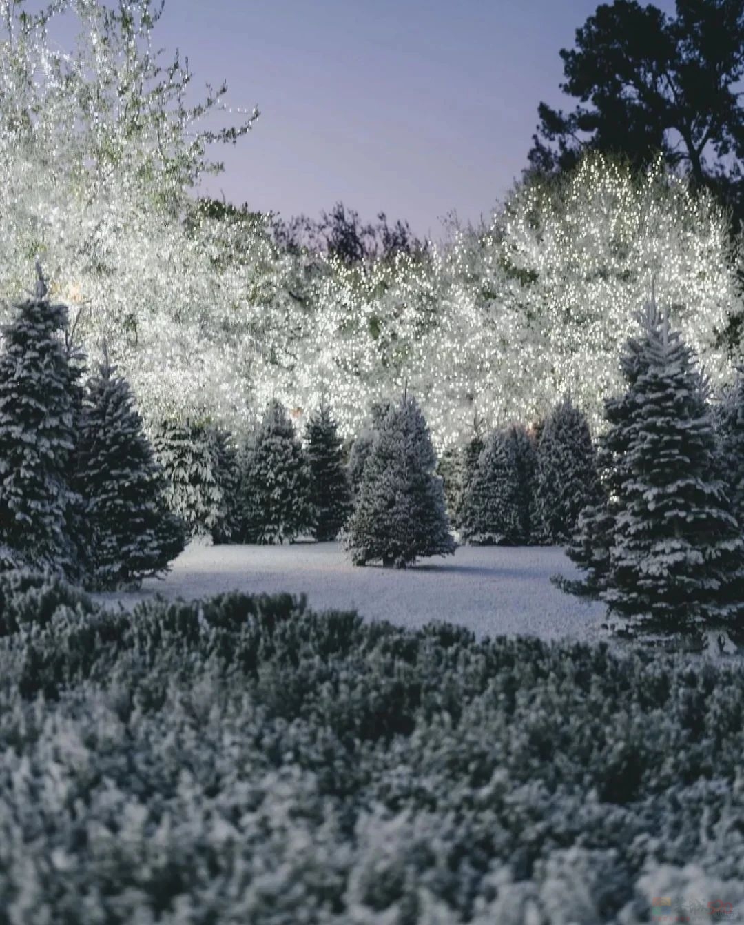 卡戴珊花10亿养的女儿被夸“世界最美”，看到照片我沉默了...575 / 作者:放眼看世界 / 帖子ID:313379