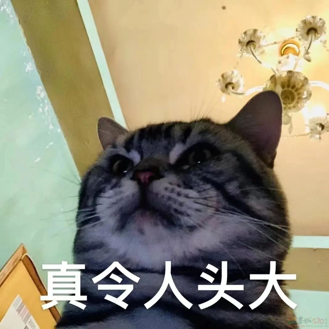 回南天强势来袭！据说这次将要持续……263 / 作者:尹以为荣 / 帖子ID:313428
