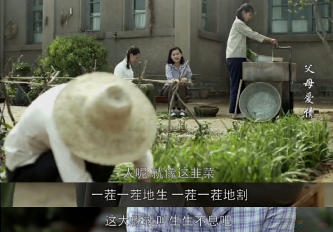 这剧收视第一又怎样，凉掉的明星都快凑一桌麻将741 / 作者:儿时的回忆 / 帖子ID:313459