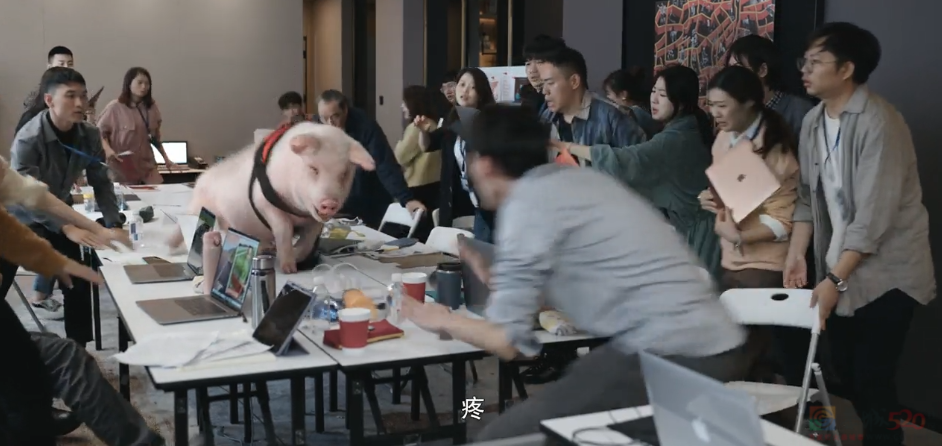 春节档我最想挺的是他688 / 作者:该做的事情 / 帖子ID:313620