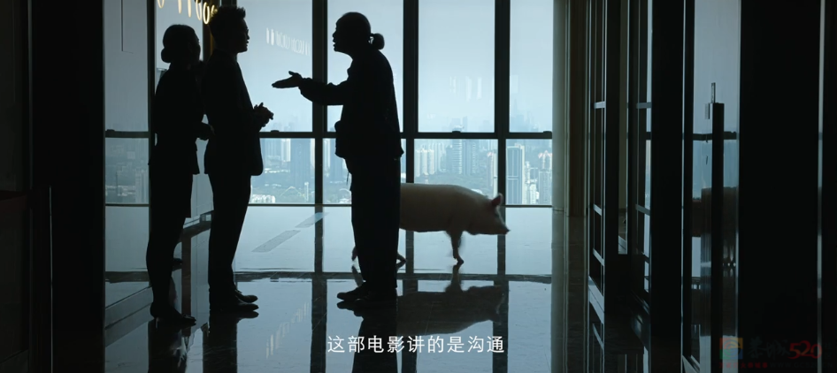 春节档我最想挺的是他193 / 作者:该做的事情 / 帖子ID:313620