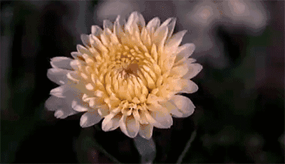 开工3天痔疮膏销量翻倍，中医：立春后要“防痔”948 / 作者:健康小天使 / 帖子ID:313764