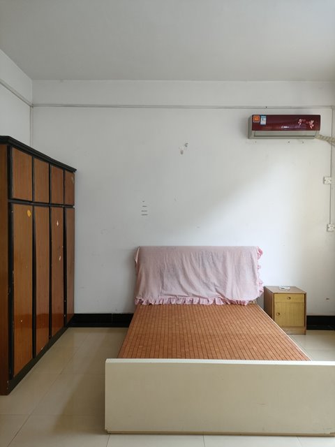 三小附近 一室一厅一厨一卫出租572 / 作者:三金 / 帖子ID:313889