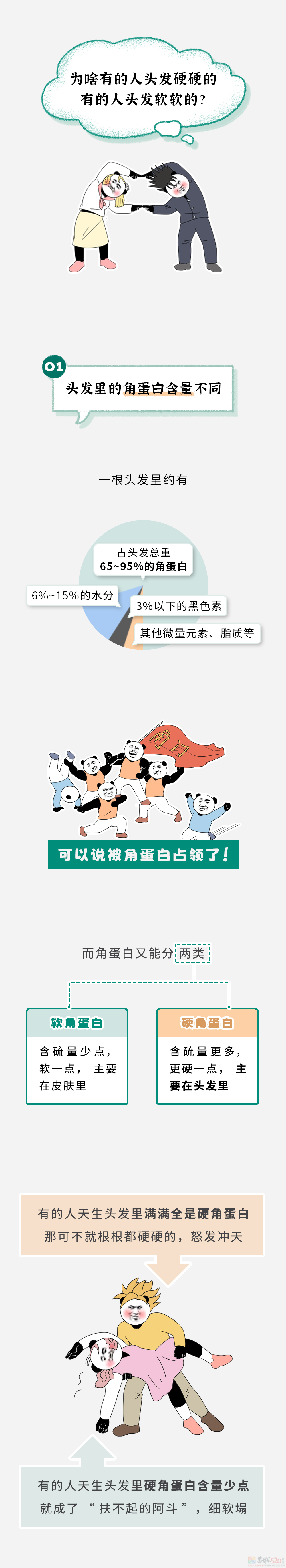 为啥有的人头发又粗又硬，有的人头发又细又软？429 / 作者:儿时的回忆 / 帖子ID:313940