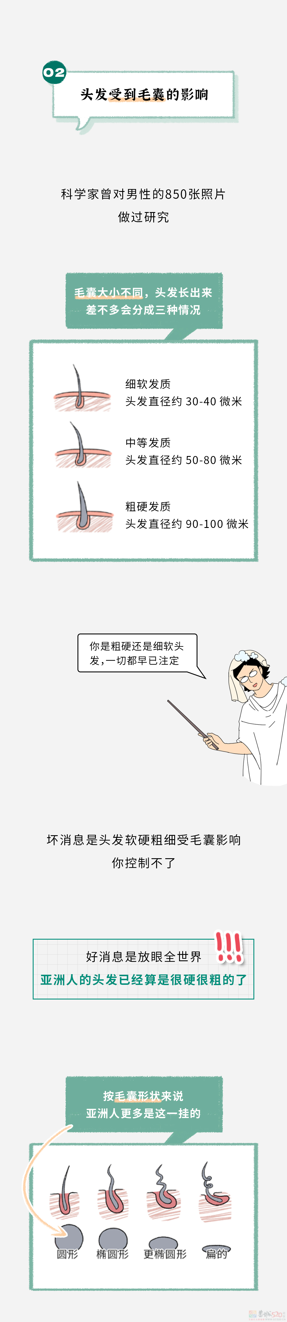 为啥有的人头发又粗又硬，有的人头发又细又软？587 / 作者:儿时的回忆 / 帖子ID:313940