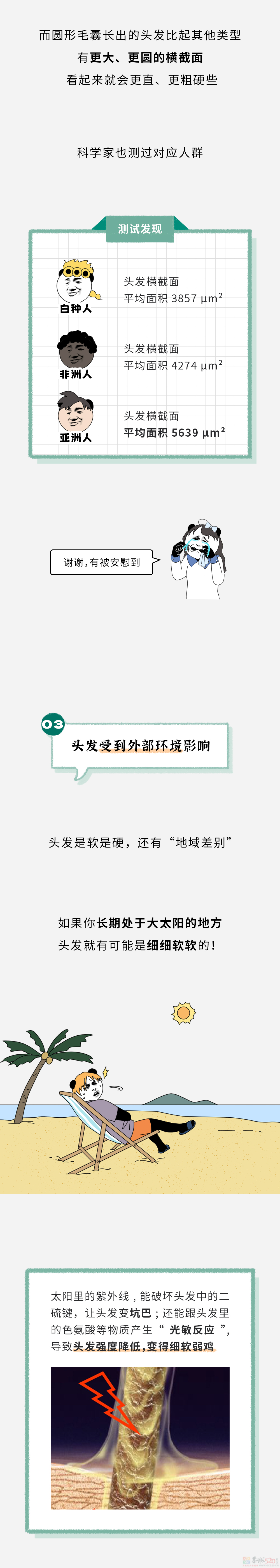 为啥有的人头发又粗又硬，有的人头发又细又软？186 / 作者:儿时的回忆 / 帖子ID:313940