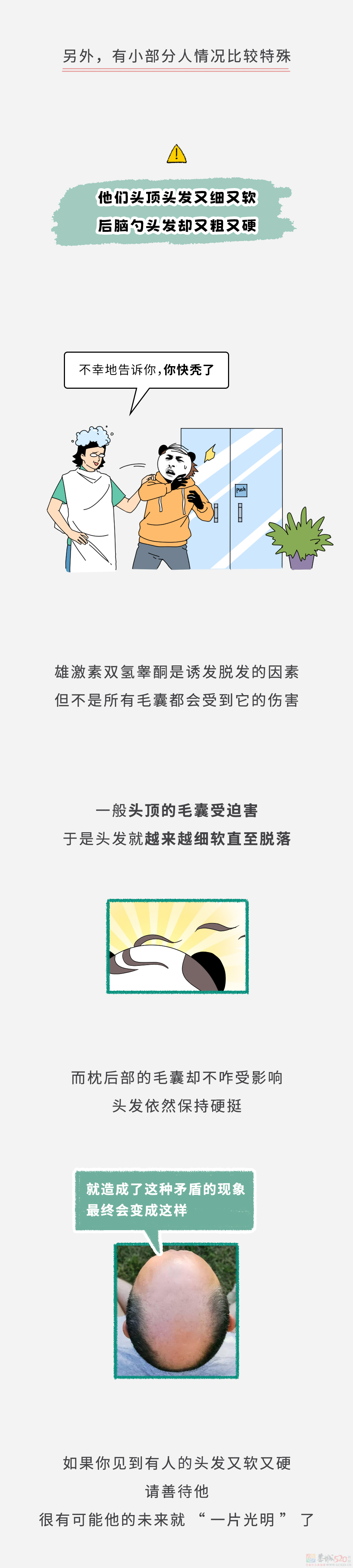 为啥有的人头发又粗又硬，有的人头发又细又软？517 / 作者:儿时的回忆 / 帖子ID:313940