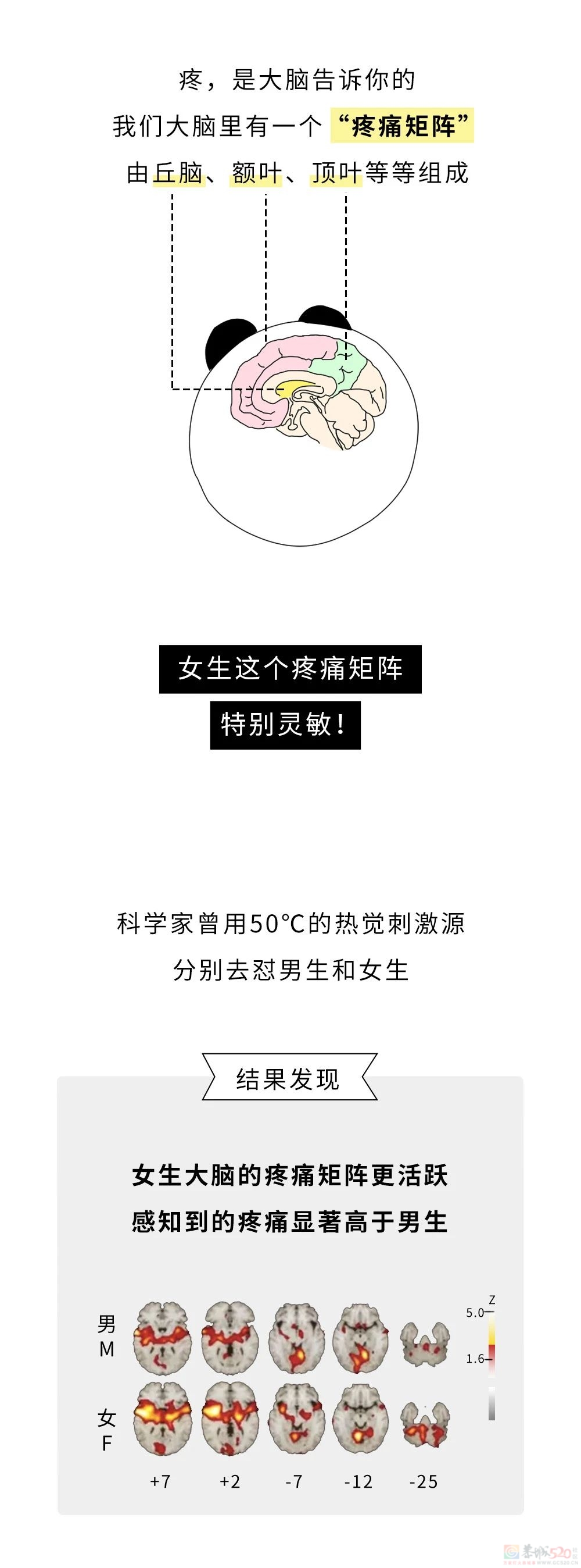 为什么女生那么容易疼？？？431 / 作者:儿时的回忆 / 帖子ID:313999