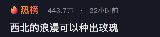 热搜上馋我三天了，带火全省的甘肃麻辣烫到底什么味儿啊435 / 作者:爱生活爱美食 / 帖子ID:314188