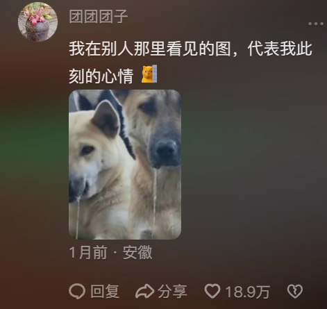 热搜上馋我三天了，带火全省的甘肃麻辣烫到底什么味儿啊367 / 作者:爱生活爱美食 / 帖子ID:314188