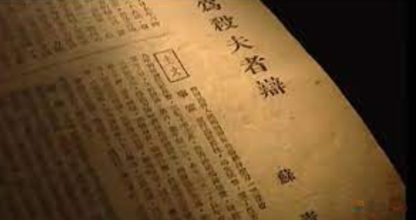 章子怡翻拍她，别只看到尺度277 / 作者:该做的事情 / 帖子ID:314289